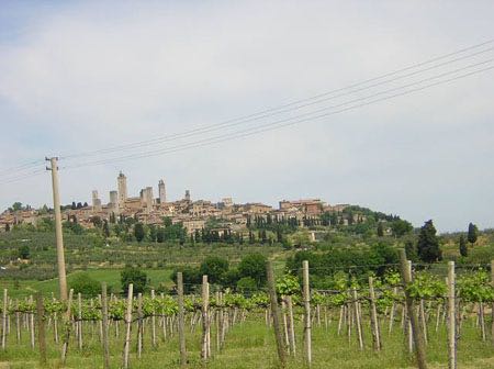 10.05.09_GF_Vernaccia03