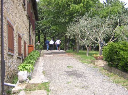 10.05.09_GF_Vernaccia05