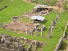 10.05.09_GF_Vernaccia18