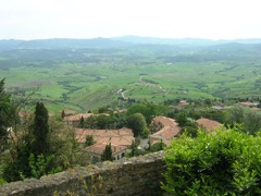 10.05.09_GF_Vernaccia23