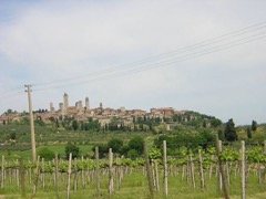 10.05.09_GF_Vernaccia03