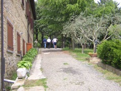 10.05.09_GF_Vernaccia05