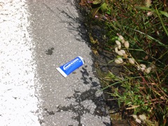 081109_furka_susten_#3BEC2D