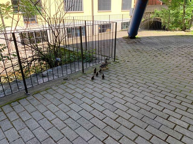 bicincitta_2019_04
