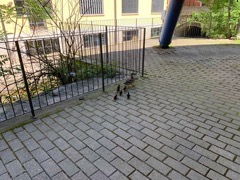 bicincitta_2019_04